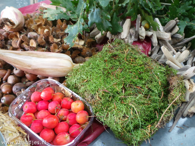 herfstmaterialen-om-te-bloemschikken