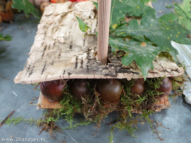 bloemschikken met natuurlijke materialen