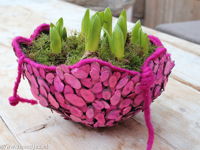 voorjaarsschaal met hyacinten