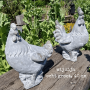leuke creatieve activiteit Noord-Brabant kippen beschilderen