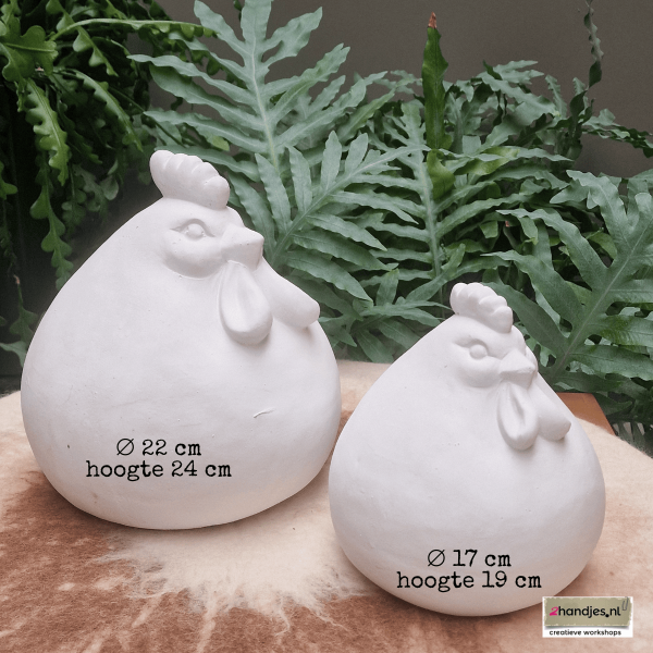 grote kippen beschilderen in Noord-Brabant