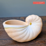 schelp voor waxinelicht